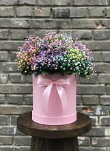 Цветочная композиция из Гипсофила и Розы в шляпной коробке в Александровске