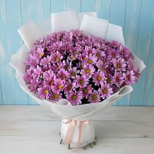 Букет цветов из:  Хризантемы в Александровске
