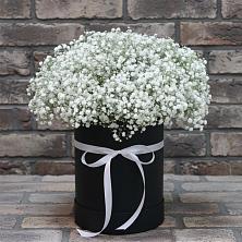 Цветочная композиция из Гипсофила в шляпной коробке в Александровске