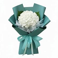 Букет цветов из:  Гортензия в Александровске